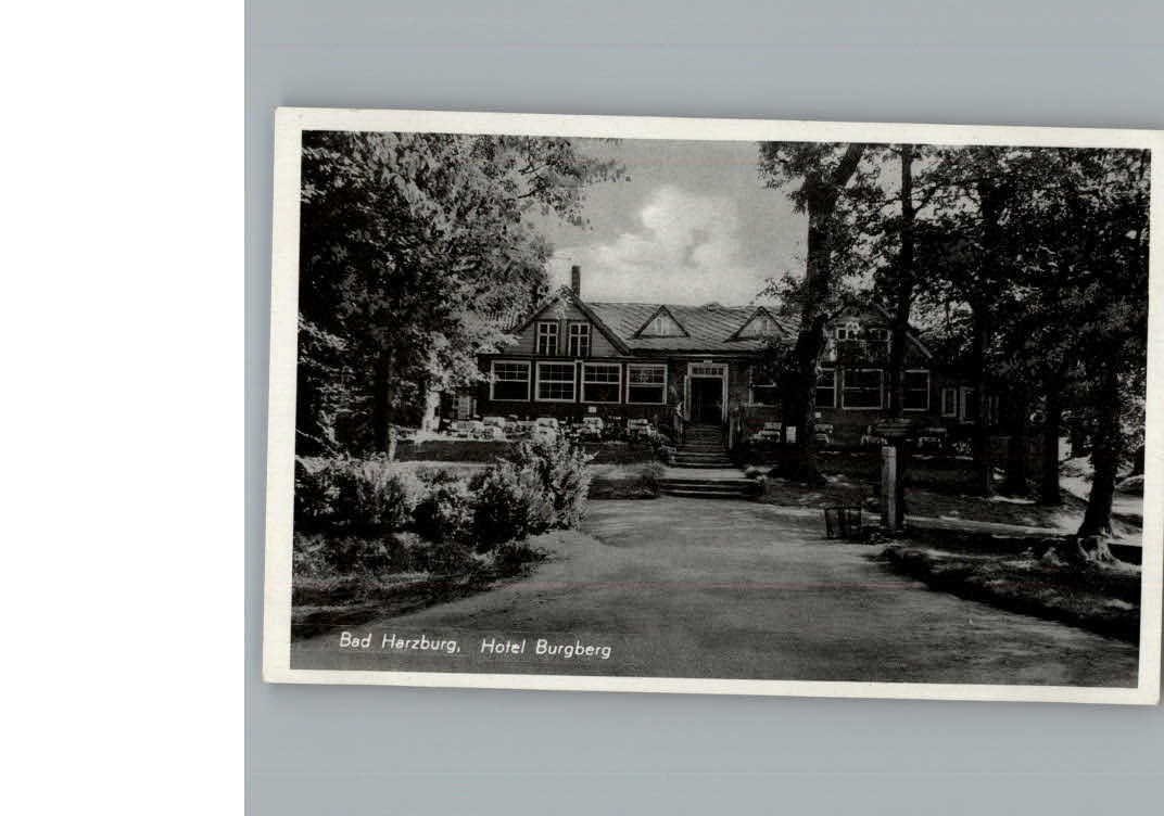 Bad Harzburg Hotel Burgberg