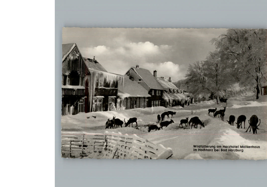 Bad Harzburg Winter-Karte