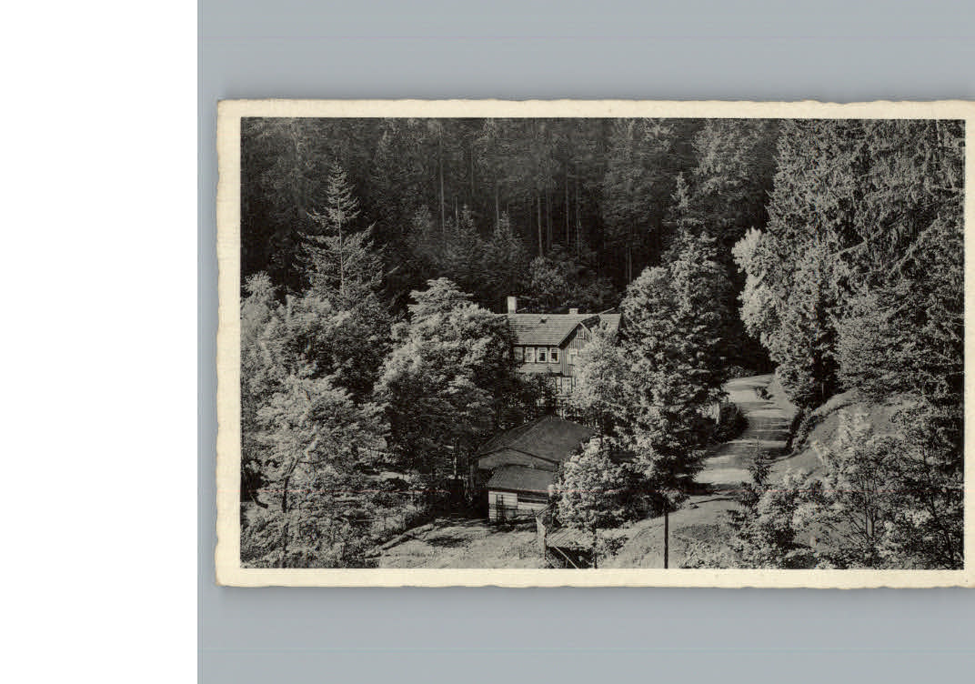 Hohegeiss Harz Hotel Wolfsbachmuehle