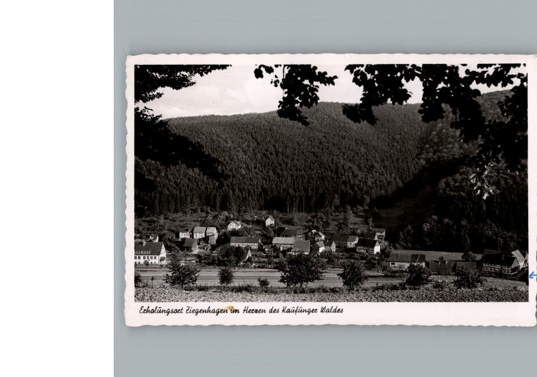 Ziegenhagen Witzenhausen