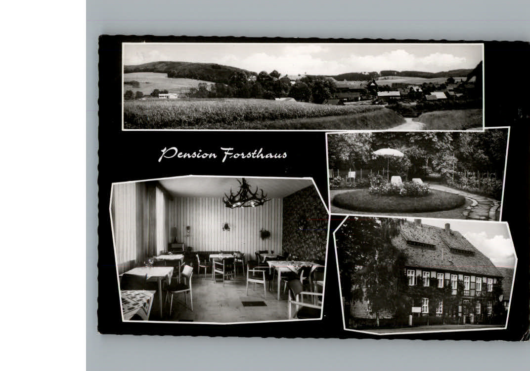 Westerhof Westharz Pension Forsthaus