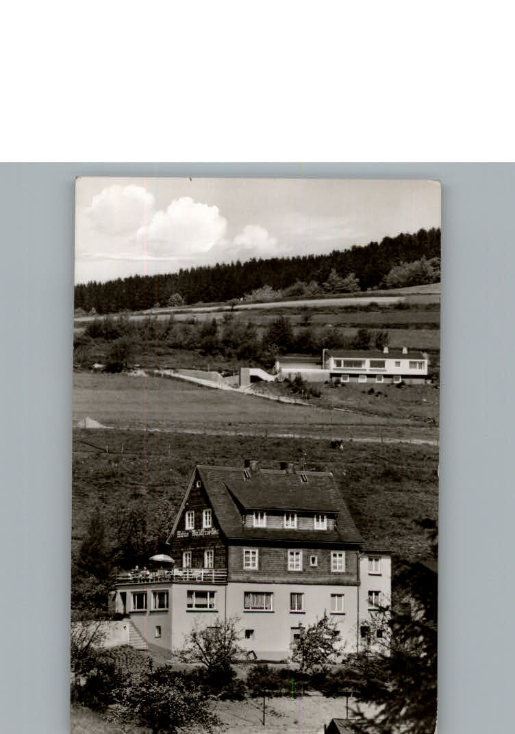 Willingen Sauerland Pension Haus Waldfrieden