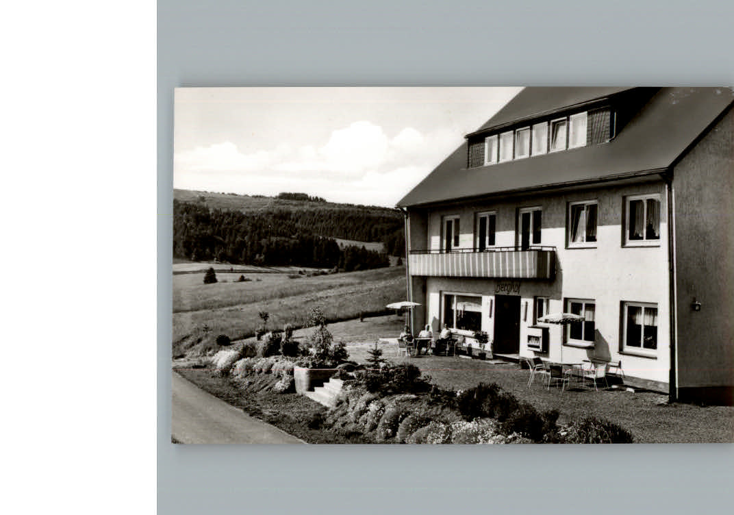 Usseln Hotel Berghof