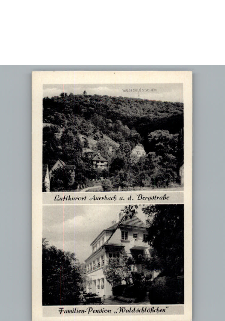 Auerbach Cafe Restaurant Pension Waldschloesschen