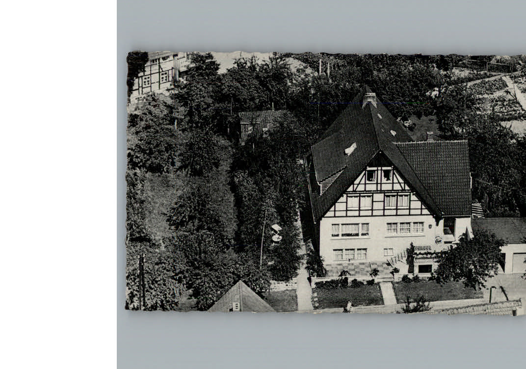 Schieder Fliegeraufnahme Pension Birkenhof