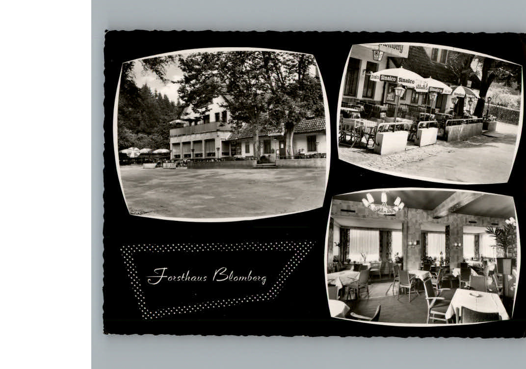 Blomberg Lippe Gasthaus Pension Forsthaus Blomberg