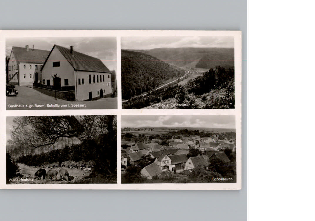 Schollbrunn Spessart Gasthaus zum gruenen Baum