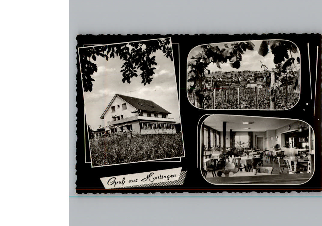 Hertingen Bad Bellingen Gasthaus-Pension Hebelhof