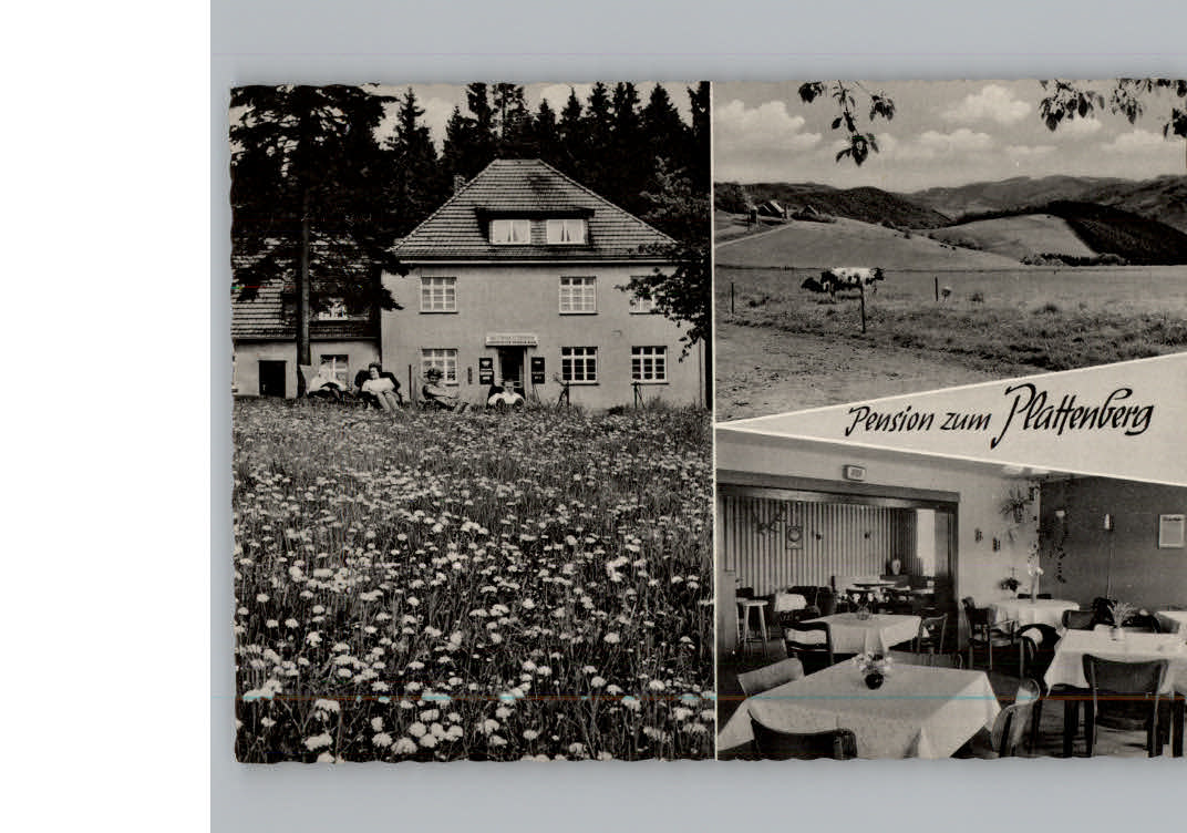 Hoppecke Pension zum Plattenberg