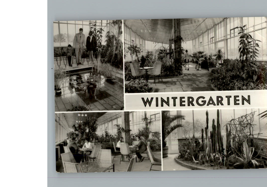 Frankfurt Oder Gaststaette Wintergarten