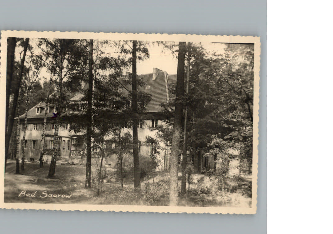 Bad Saarow