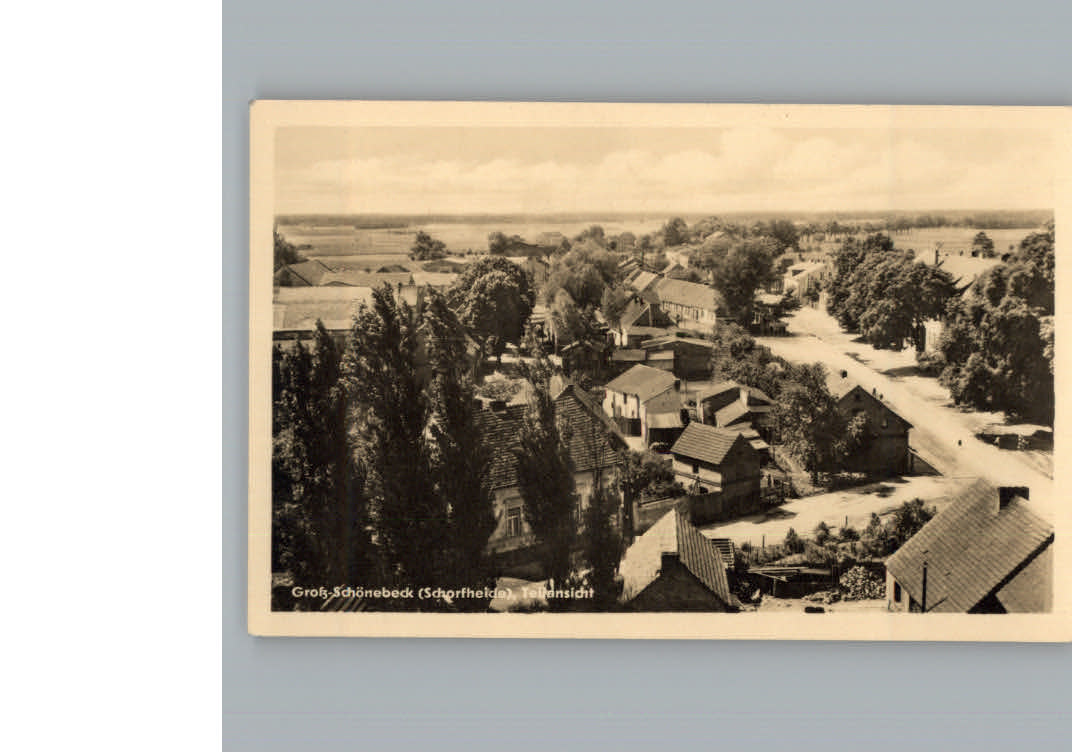 Gross Schoenebeck