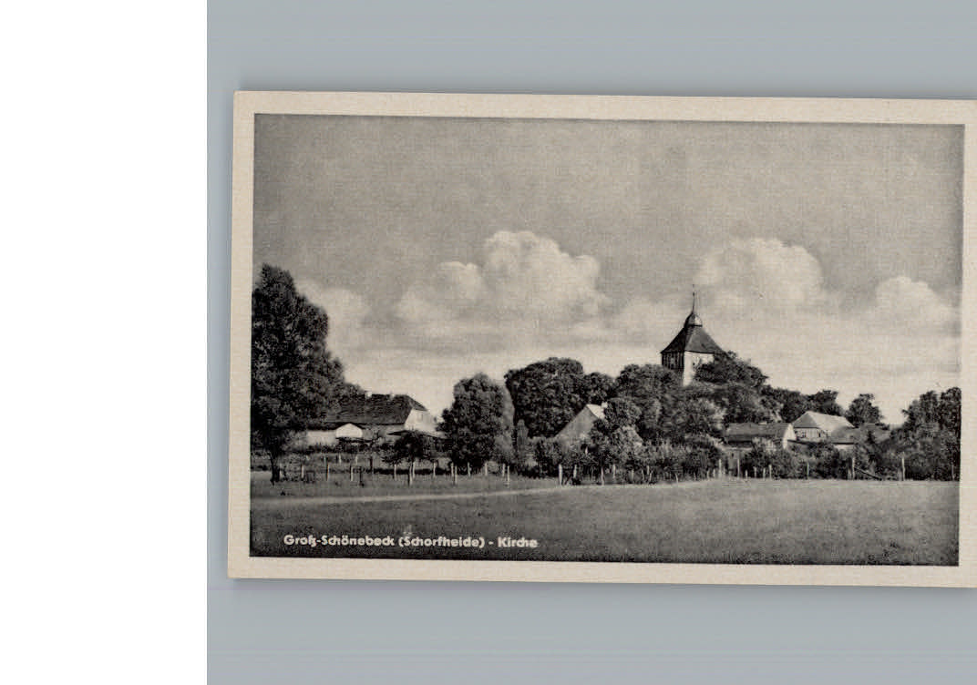 Gross Schoenebeck