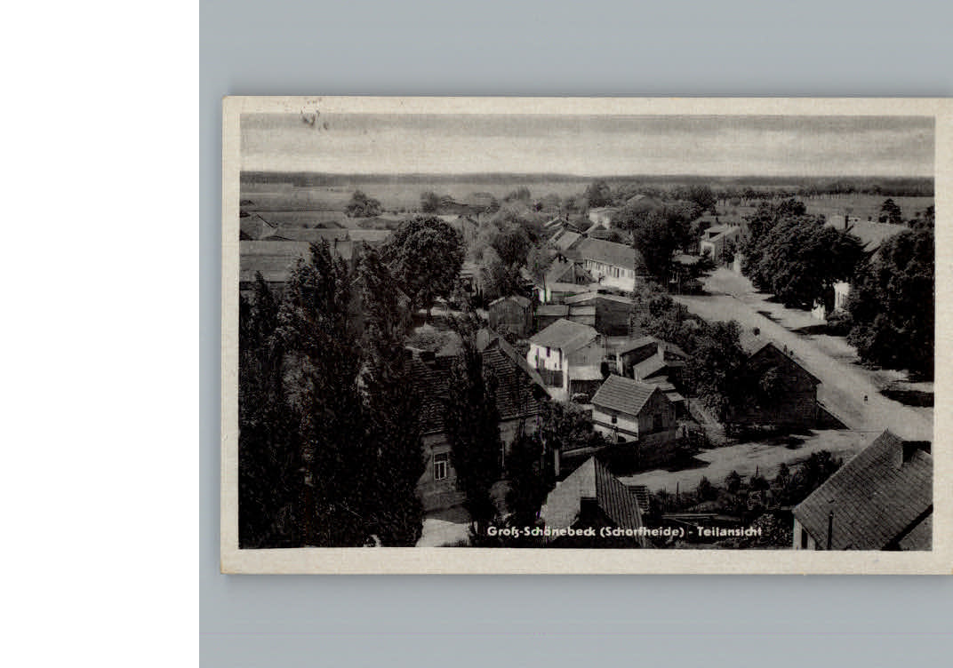 Gross Schoenebeck