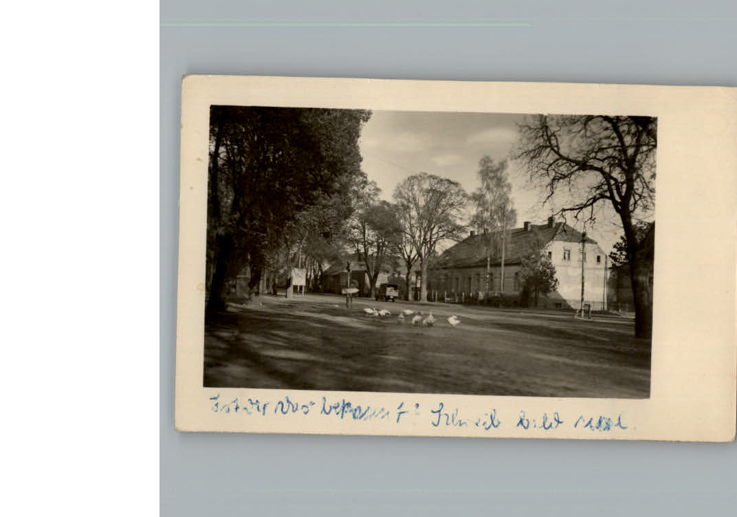 Loewenberg Oberhavel