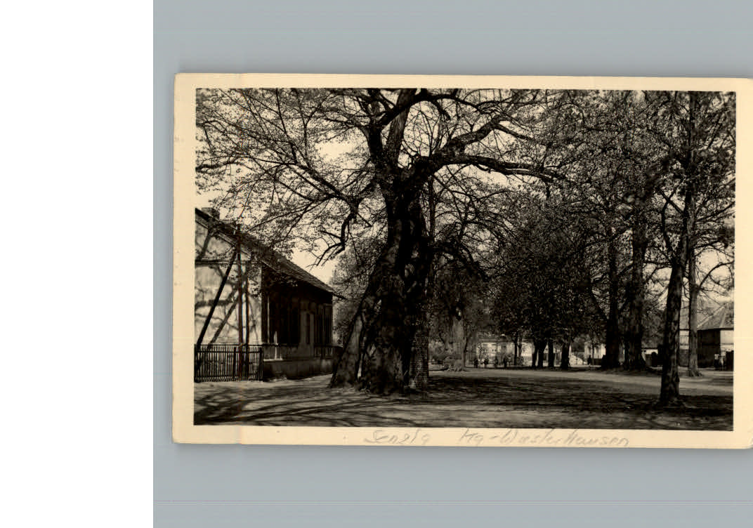 Koenigs-Wusterhausen