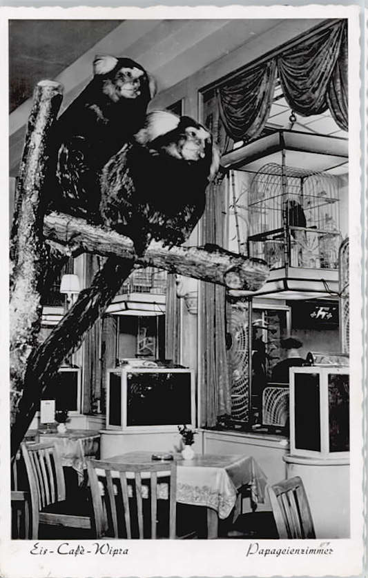 Frankfurt Main Cafe der Tierfreunde Eis-Cafe Wipra