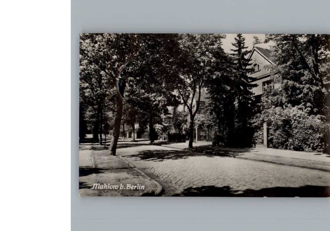 Koenigs-Wusterhausen