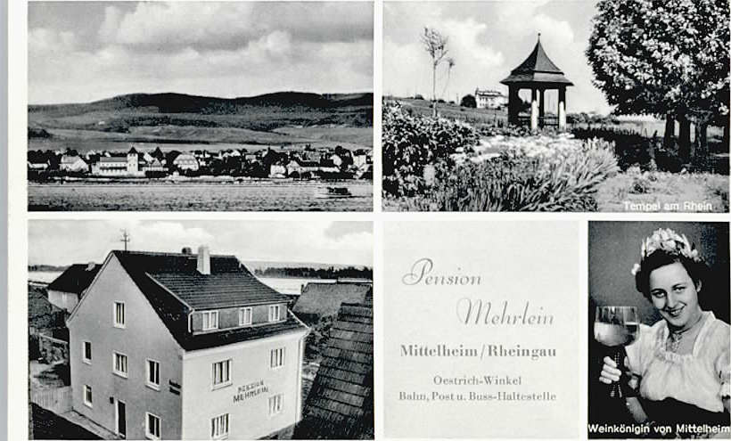 Mittelheim Rheingau Pension Mehrlein