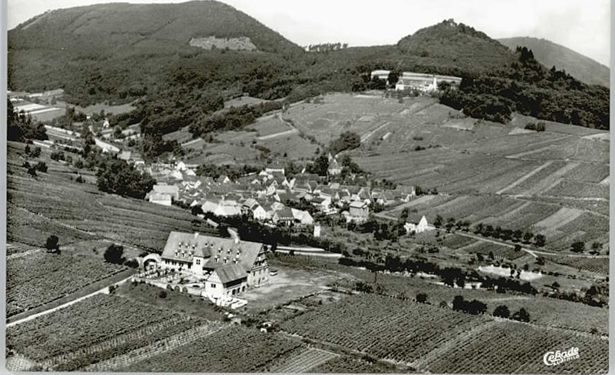 Leinsweiler Fliegeraufnahme