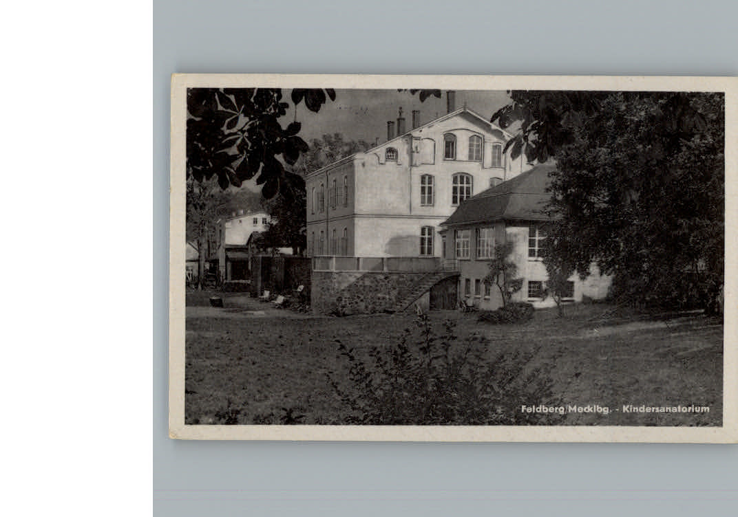 Feldberg Mecklenburg