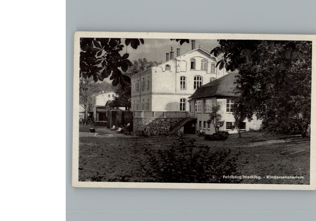 Feldberg Mecklenburg