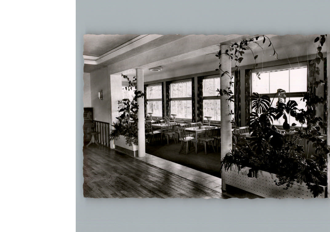 Kniebis Freudenstadt Kurhotel