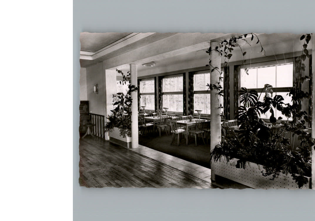 Kniebis Freudenstadt Kurhotel