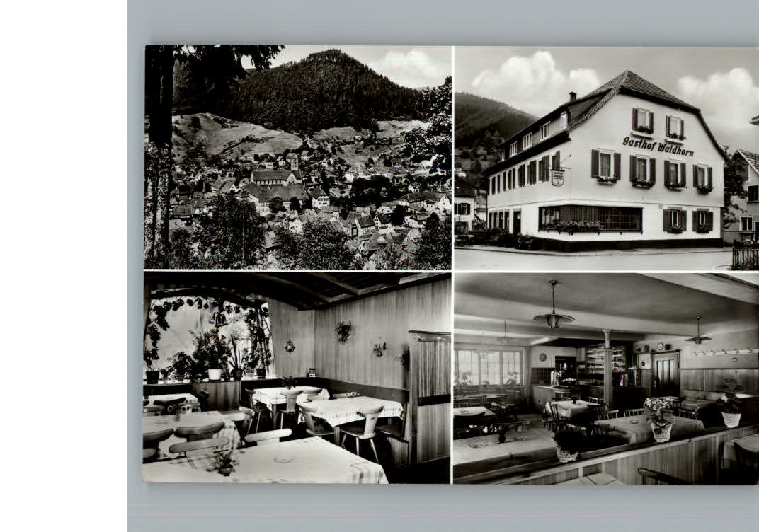 Alpirsbach Gasthof Waldhorn