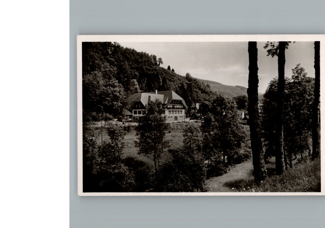 Schapbach Gasthof zum Ochsen