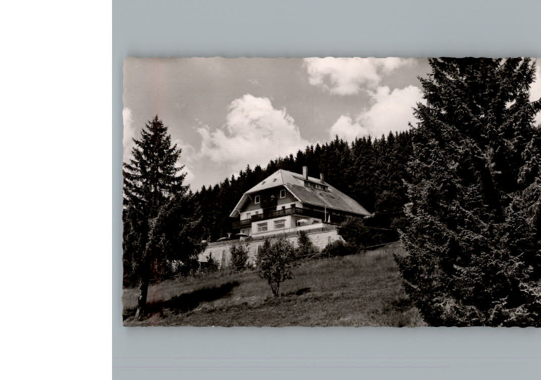 Saig Schwarzwald Gasthaus Haus Sonnhalde
