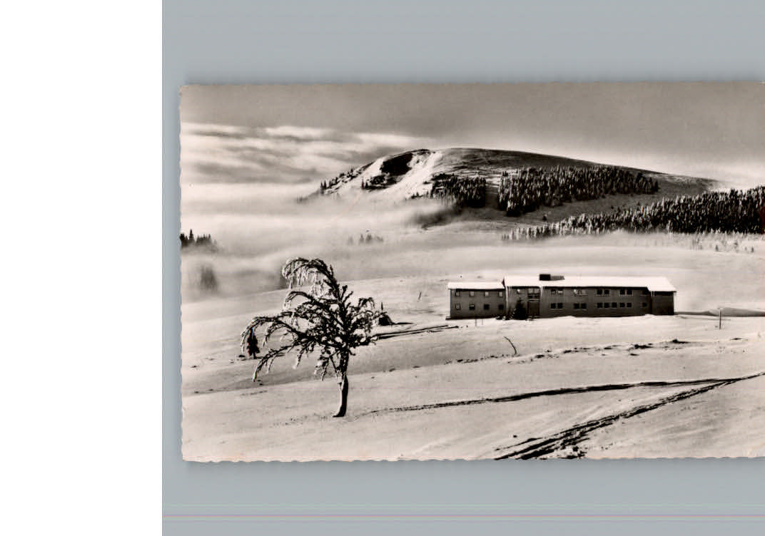 Feldberg Schwarzwald Gasthaus Herzogenhorn