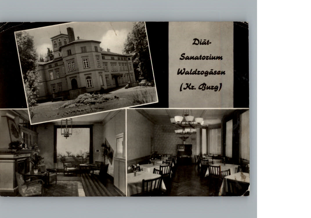 Waldrogaesen Wuestenjerichow