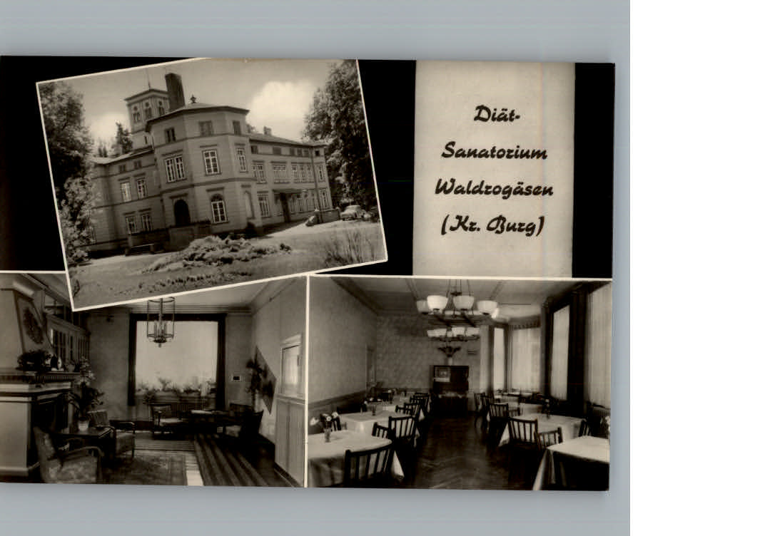 Waldrogaesen Wuestenjerichow