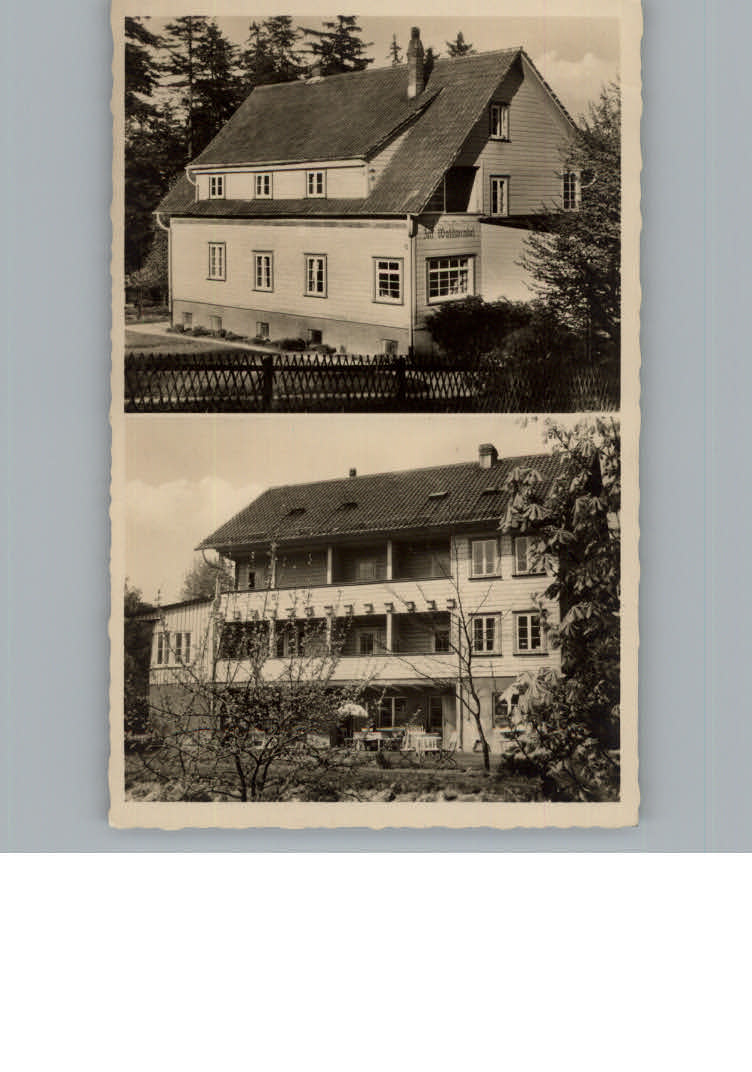 Hahnenklee-Bockswiese Harz Pension Im Waldwinkel