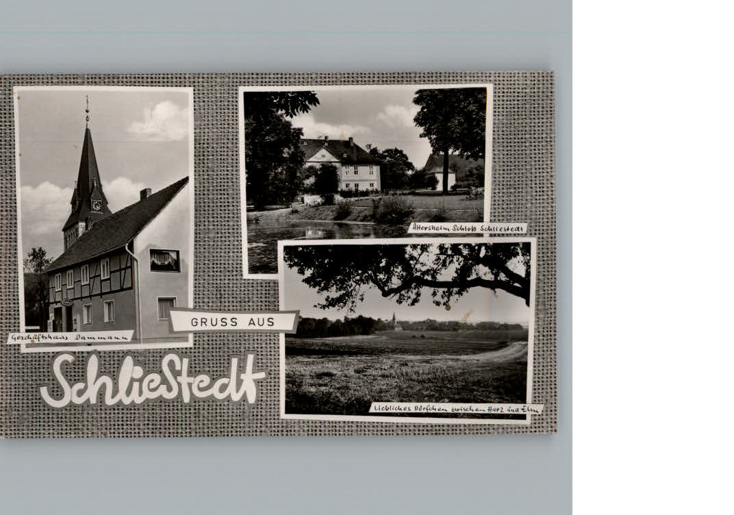 Schliestedt Handlung Dammann