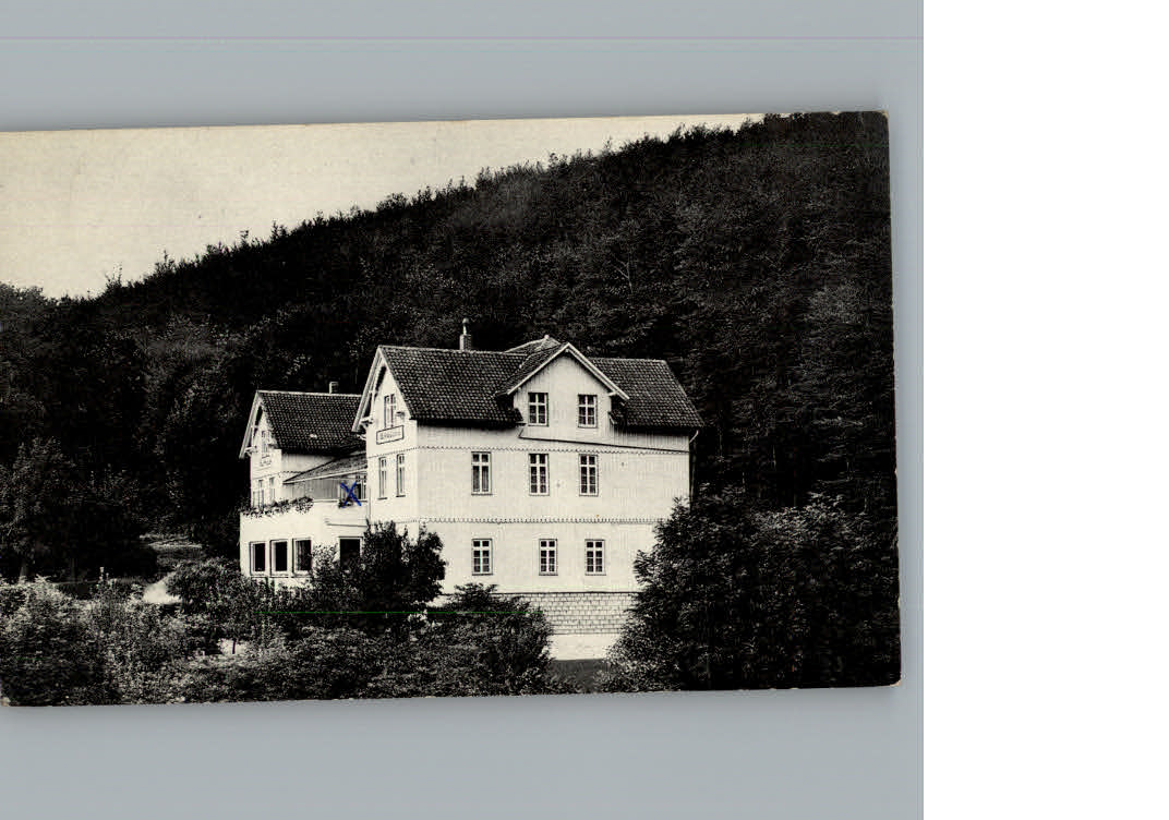 Bad Gandersheim Hotel Waldschloesschen