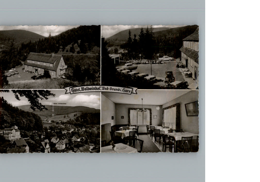 Bad Grund Hotel Waldwinkel