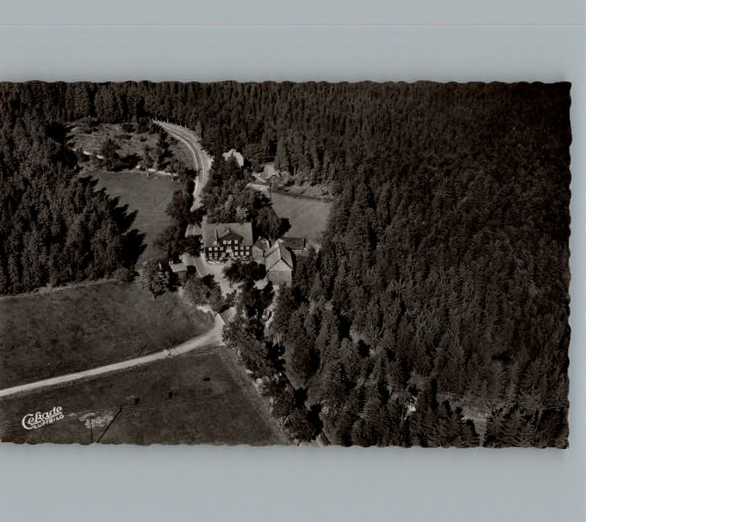 Auerhahn Goslar Berggasthaus zum Auerhahn Fliegeraufnahme