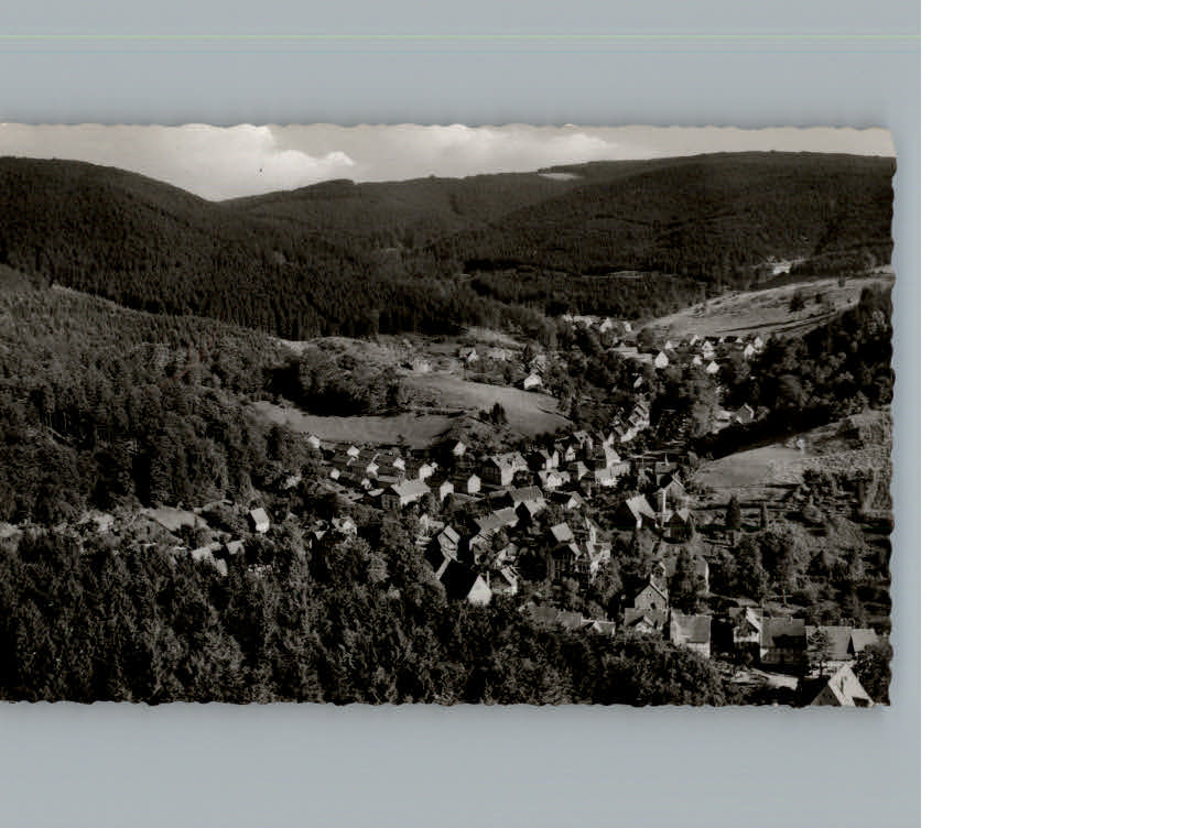 Bad Grund Fliegeraufnahme