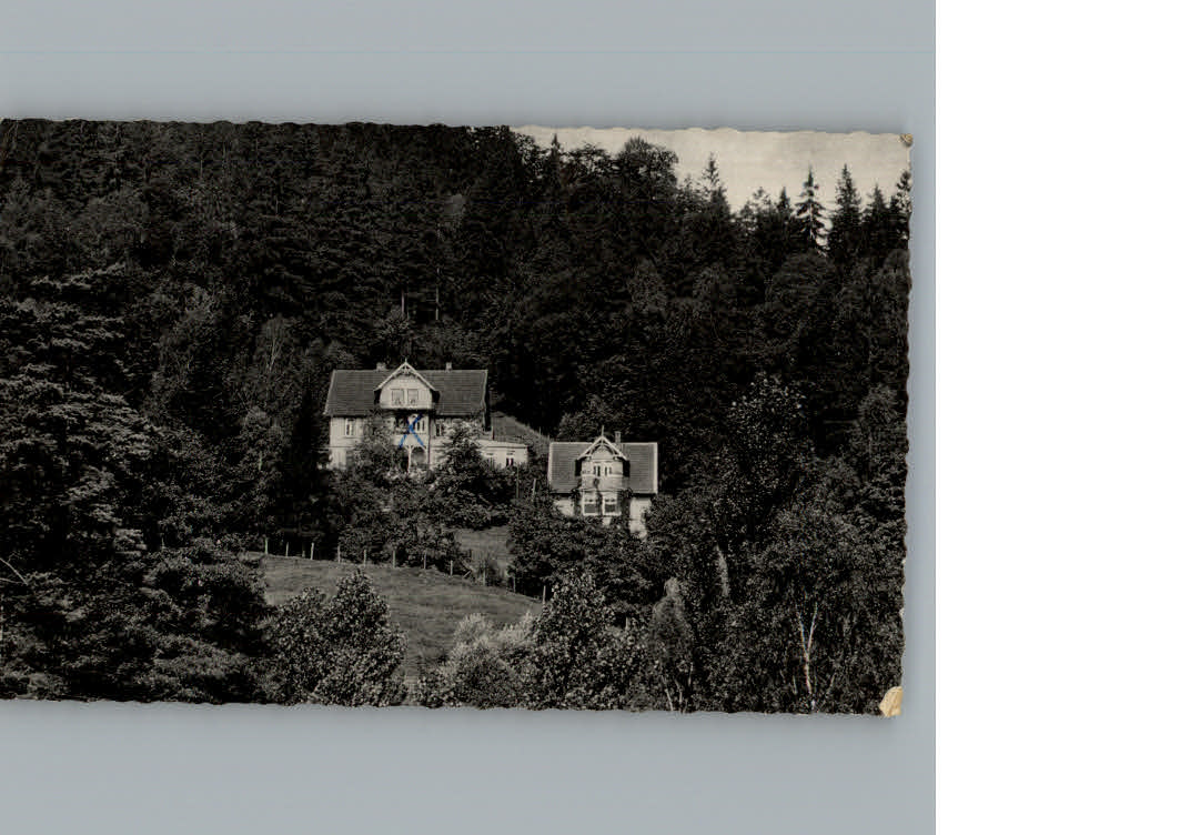 Lautenthal Harz Hotel Haus Bergfrieden