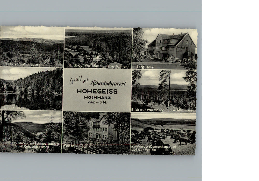 Hohegeiss Harz Hotel Dicke Tannen