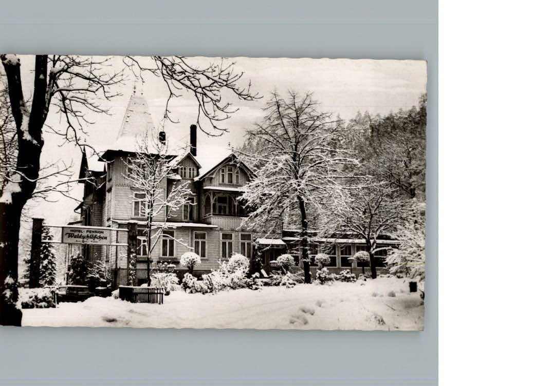 Lautenthal Harz Hotel - Pension Waldschloesschen