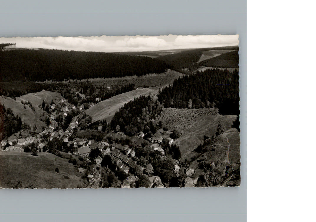 Wildemann Fliegeraufnahme