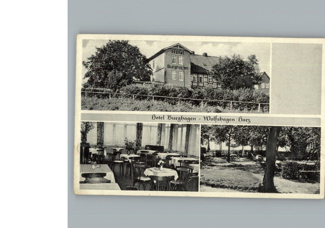 Wolfshagen Harz Hotel Burghagen