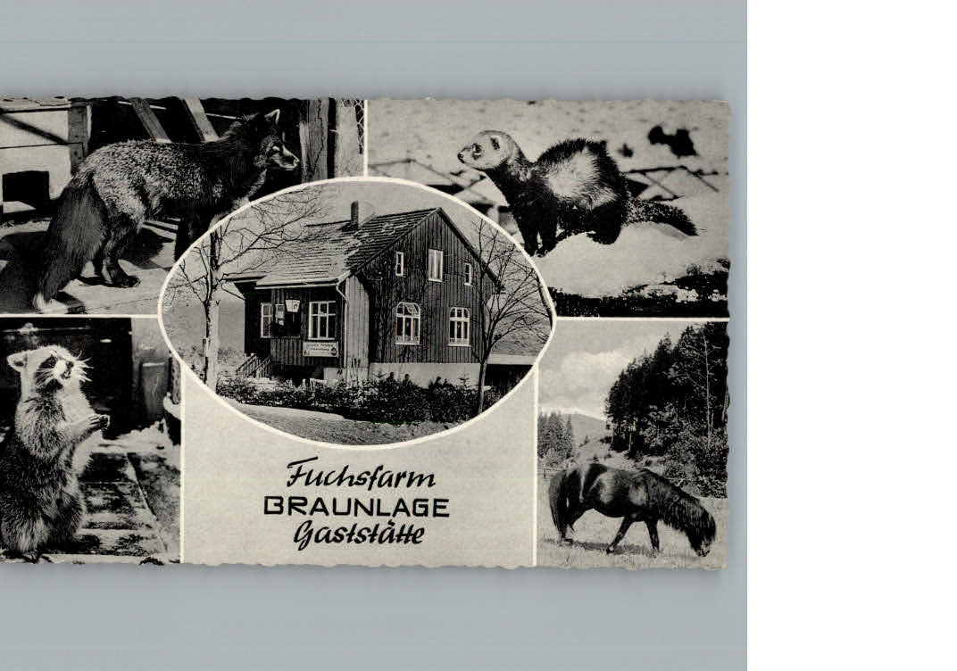 Braunlage Gaststaette Fuchsfarm