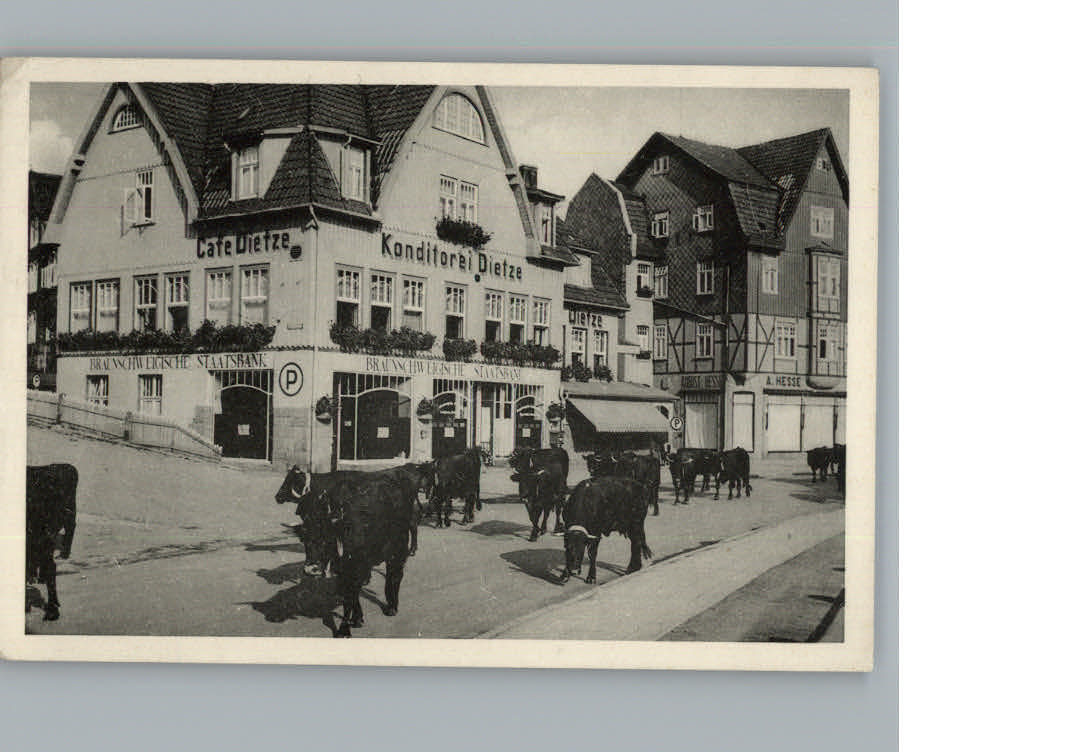 Braunlage Cafe - Konditorei Dietze