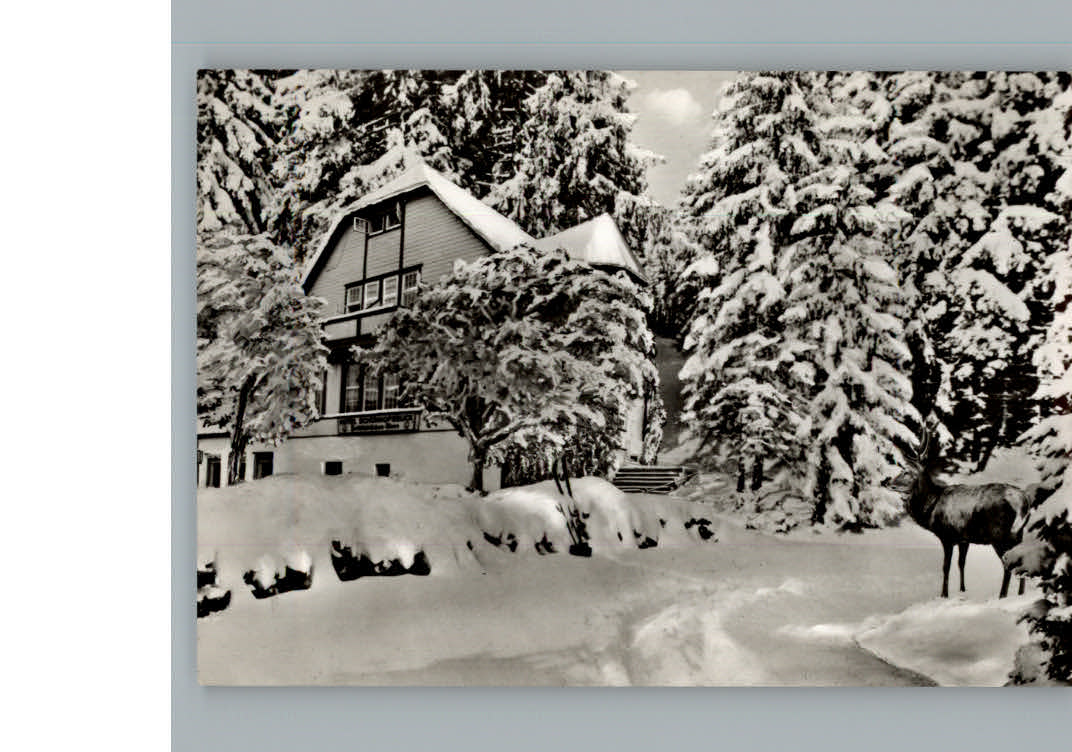 Bad Grund Hotel - Pension Schoenhofsblick