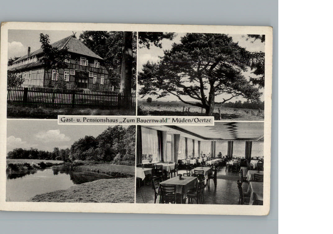 Mueden oertze Gasthaus - Pension Zum Bauernwald