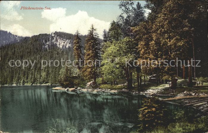 Ploeckensteinsee Seee